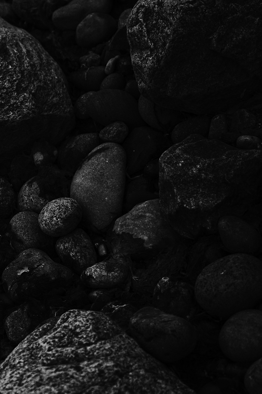 Claudia Malecka – Tides of Freedom